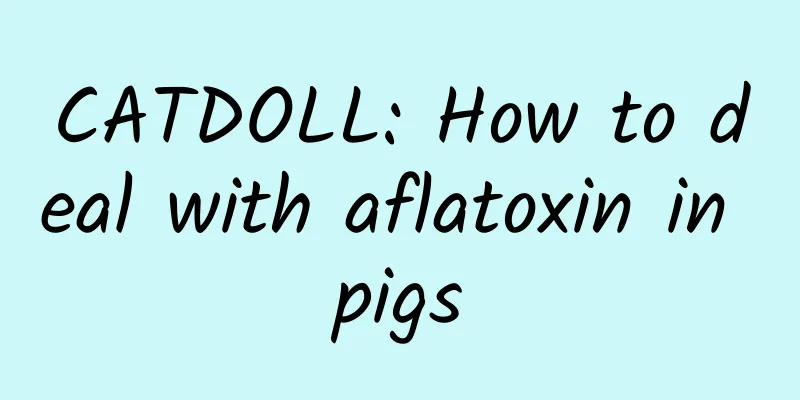 CATDOLL: How to deal with aflatoxin in pigs