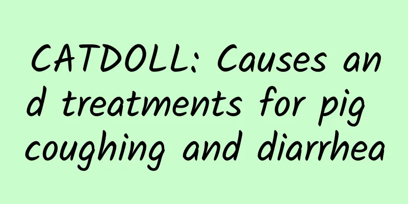 CATDOLL: Causes and treatments for pig coughing and diarrhea