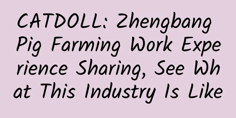 CATDOLL: Zhengbang Pig Farming Work Experience Sharing, See What This Industry Is Like