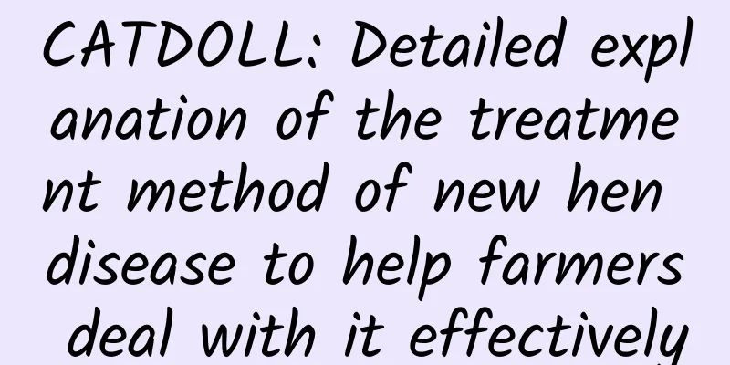 CATDOLL: Detailed explanation of the treatment method of new hen disease to help farmers deal with it effectively