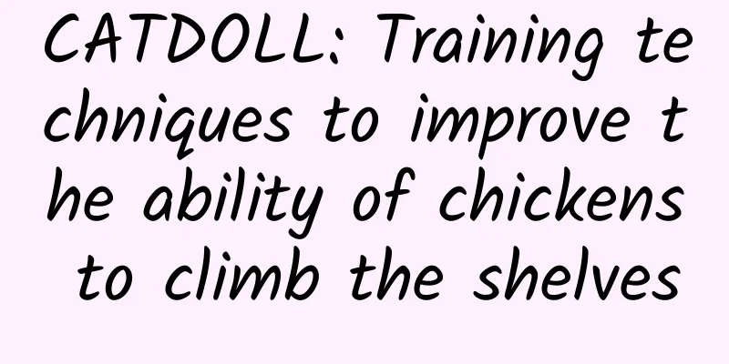CATDOLL: Training techniques to improve the ability of chickens to climb the shelves