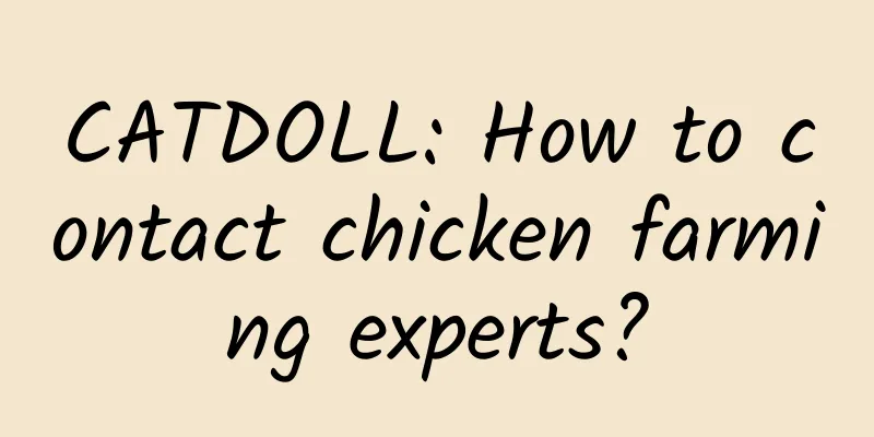 CATDOLL: How to contact chicken farming experts?