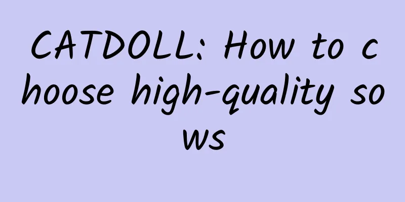 CATDOLL: How to choose high-quality sows