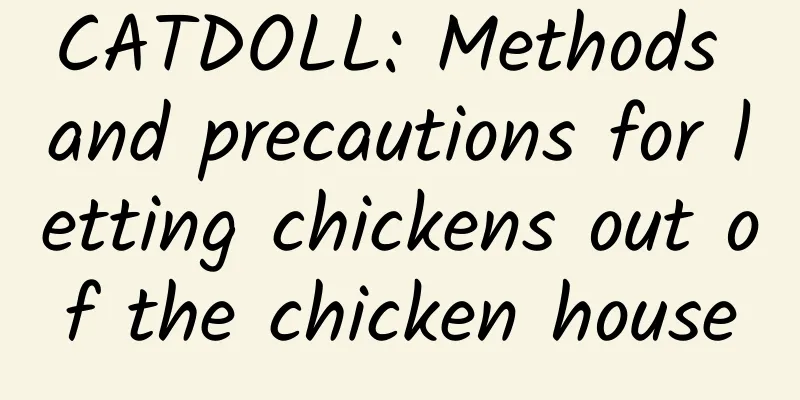 CATDOLL: Methods and precautions for letting chickens out of the chicken house