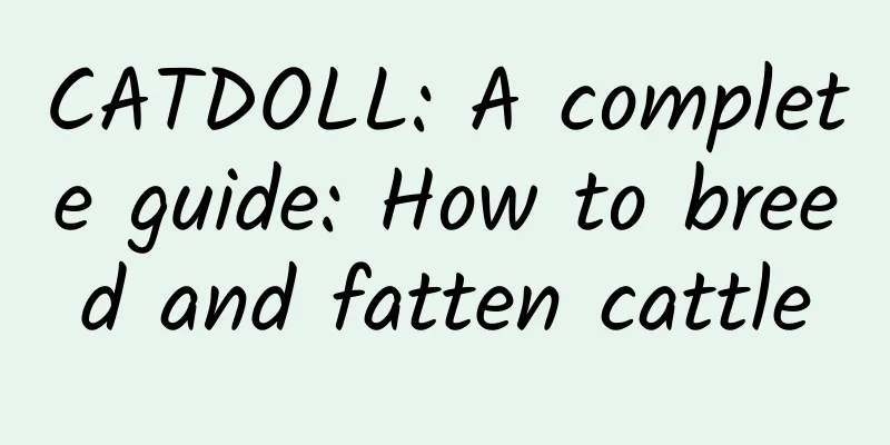 CATDOLL: A complete guide: How to breed and fatten cattle