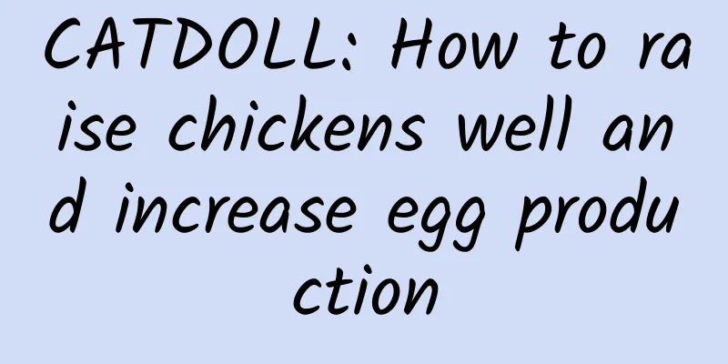 CATDOLL: How to raise chickens well and increase egg production