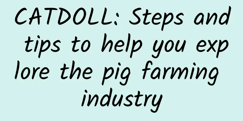 CATDOLL: Steps and tips to help you explore the pig farming industry