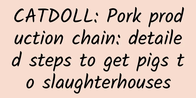 CATDOLL: Pork production chain: detailed steps to get pigs to slaughterhouses