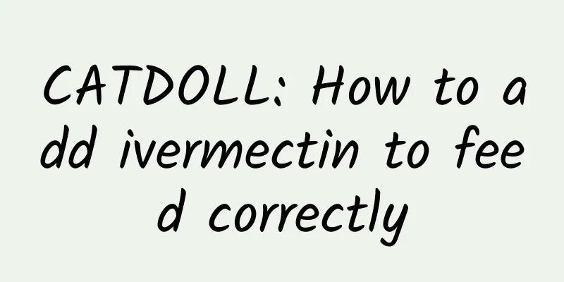 CATDOLL: How to add ivermectin to feed correctly
