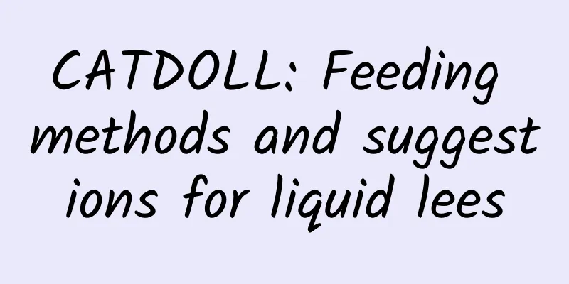 CATDOLL: Feeding methods and suggestions for liquid lees