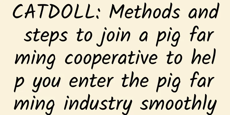 CATDOLL: Methods and steps to join a pig farming cooperative to help you enter the pig farming industry smoothly