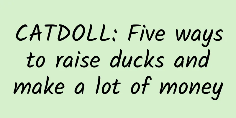 CATDOLL: Five ways to raise ducks and make a lot of money