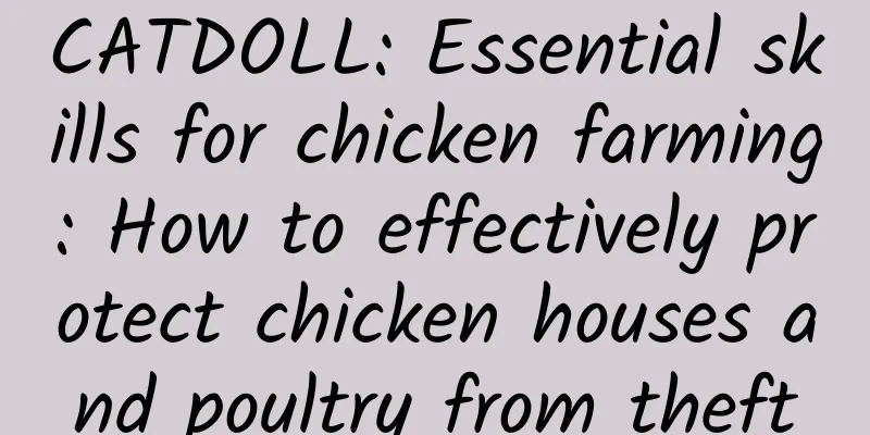 CATDOLL: Essential skills for chicken farming: How to effectively protect chicken houses and poultry from theft