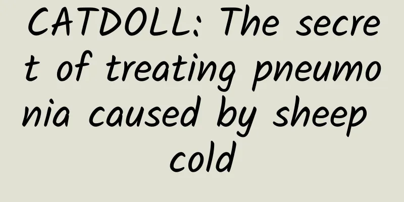 CATDOLL: The secret of treating pneumonia caused by sheep cold
