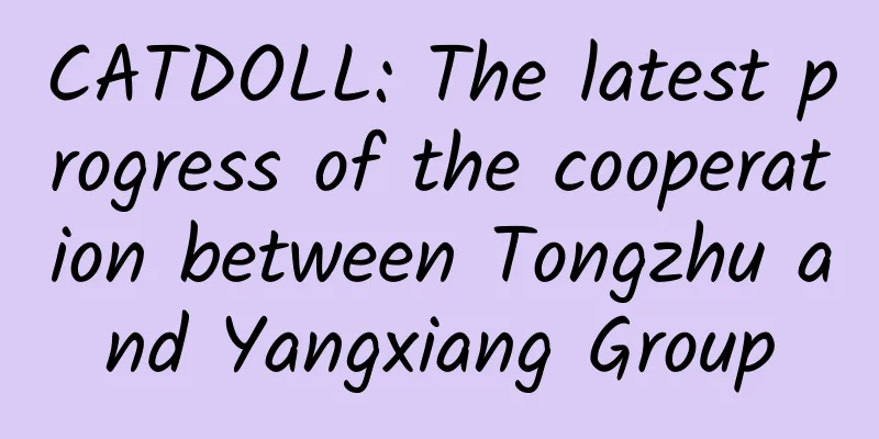 CATDOLL: The latest progress of the cooperation between Tongzhu and Yangxiang Group