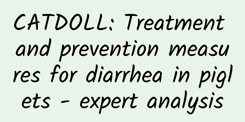 CATDOLL: Treatment and prevention measures for diarrhea in piglets - expert analysis
