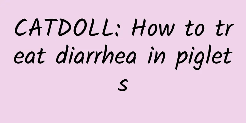 CATDOLL: How to treat diarrhea in piglets