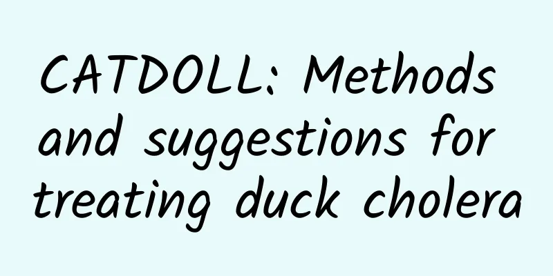 CATDOLL: Methods and suggestions for treating duck cholera