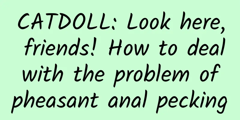 CATDOLL: Look here, friends! How to deal with the problem of pheasant anal pecking