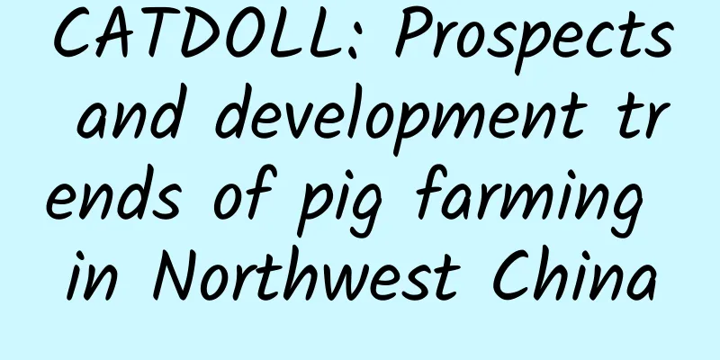 CATDOLL: Prospects and development trends of pig farming in Northwest China