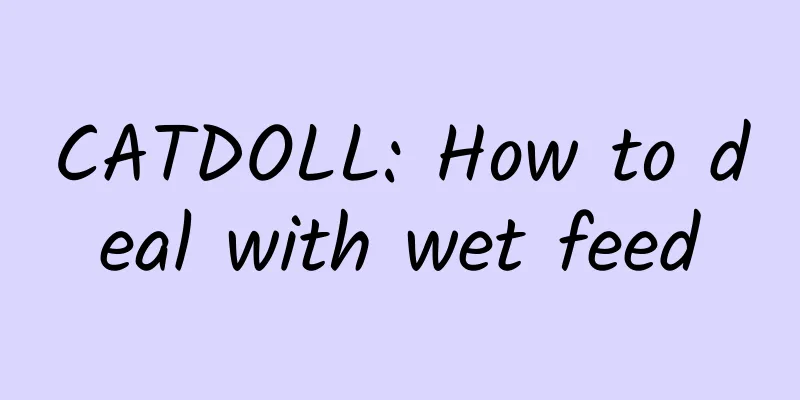 CATDOLL: How to deal with wet feed