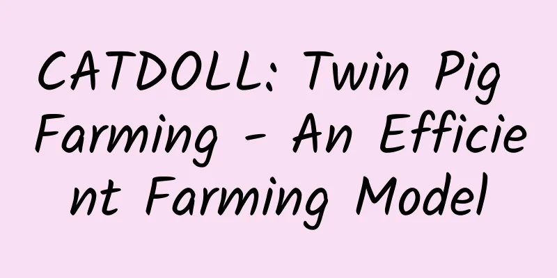 CATDOLL: Twin Pig Farming - An Efficient Farming Model