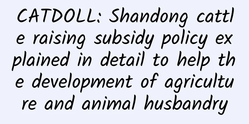 CATDOLL: Shandong cattle raising subsidy policy explained in detail to help the development of agriculture and animal husbandry