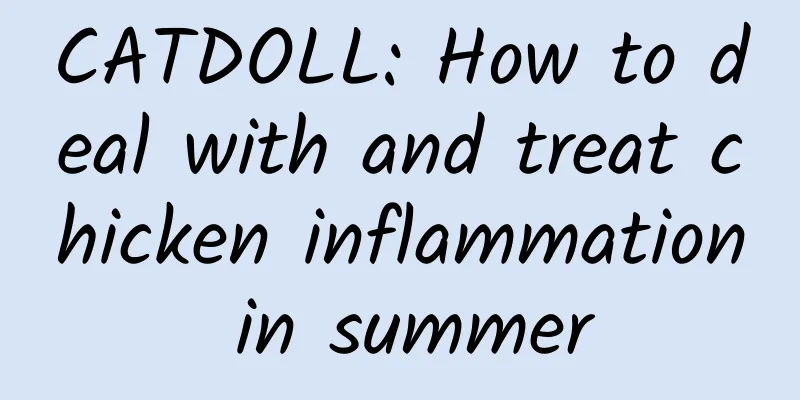 CATDOLL: How to deal with and treat chicken inflammation in summer
