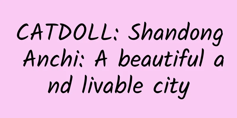CATDOLL: Shandong Anchi: A beautiful and livable city