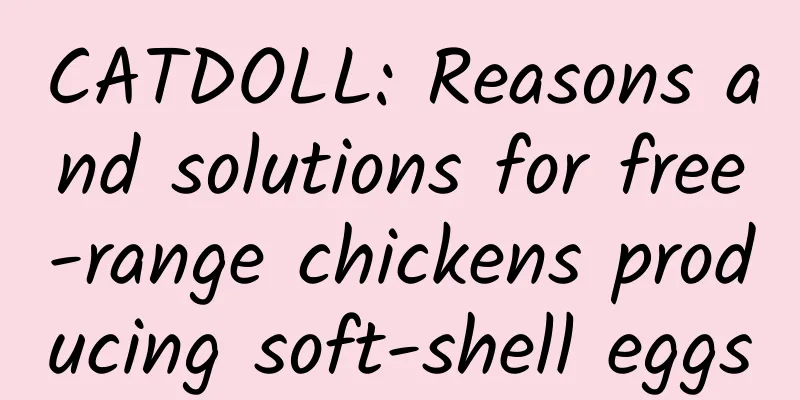 CATDOLL: Reasons and solutions for free-range chickens producing soft-shell eggs