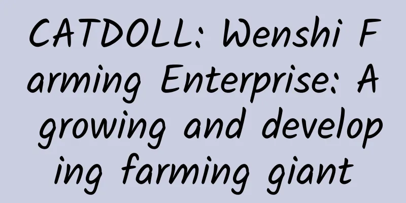 CATDOLL: Wenshi Farming Enterprise: A growing and developing farming giant