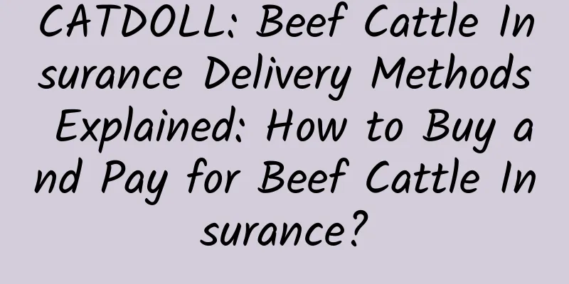 CATDOLL: Beef Cattle Insurance Delivery Methods Explained: How to Buy and Pay for Beef Cattle Insurance?