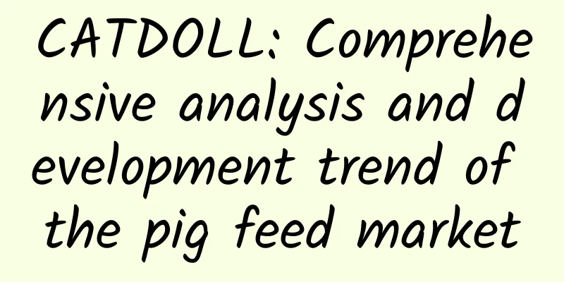 CATDOLL: Comprehensive analysis and development trend of the pig feed market