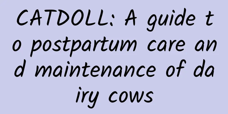 CATDOLL: A guide to postpartum care and maintenance of dairy cows