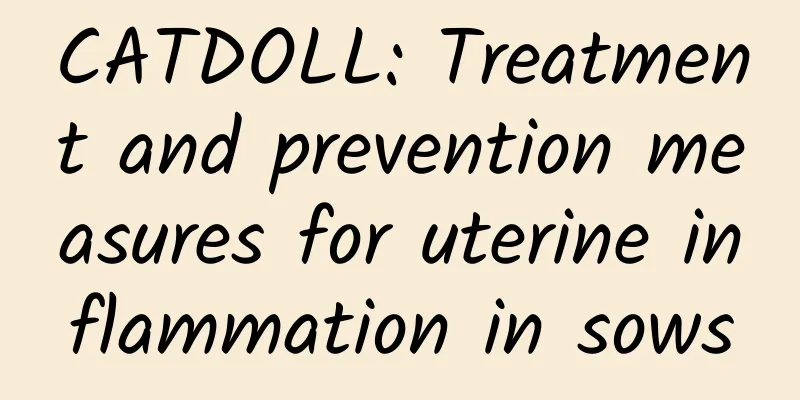 CATDOLL: Treatment and prevention measures for uterine inflammation in sows