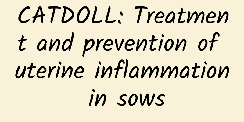 CATDOLL: Treatment and prevention of uterine inflammation in sows