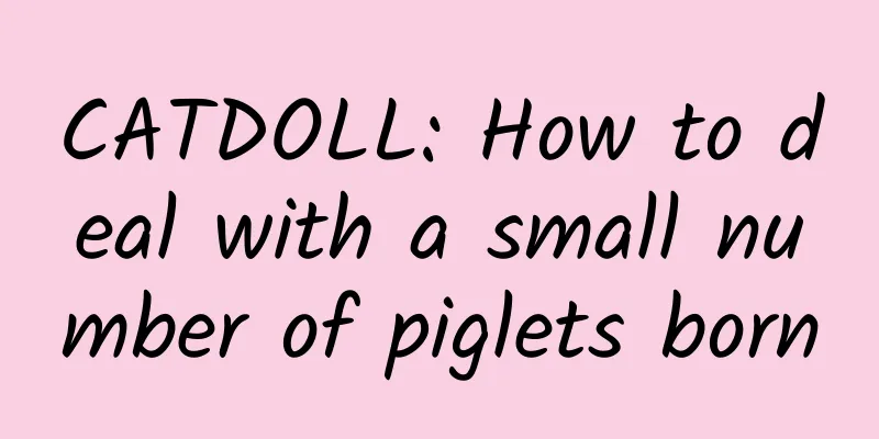 CATDOLL: How to deal with a small number of piglets born