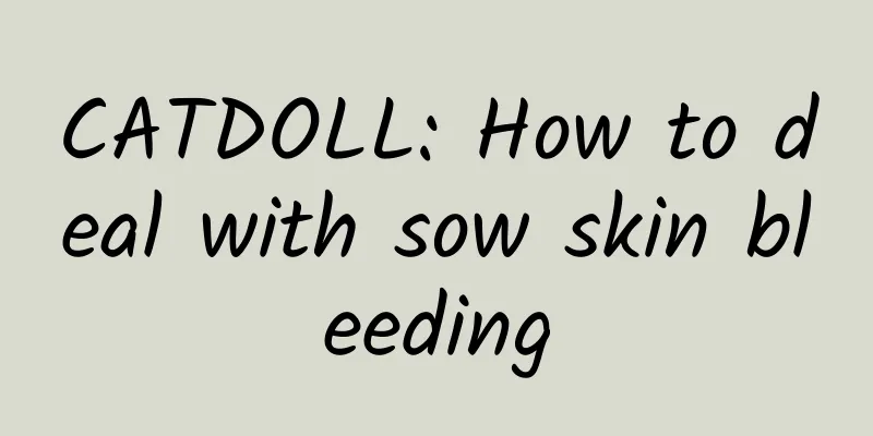 CATDOLL: How to deal with sow skin bleeding
