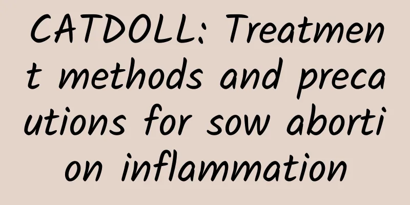 CATDOLL: Treatment methods and precautions for sow abortion inflammation