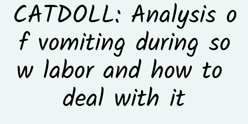 CATDOLL: Analysis of vomiting during sow labor and how to deal with it