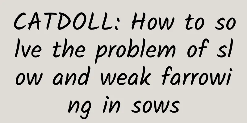 CATDOLL: How to solve the problem of slow and weak farrowing in sows