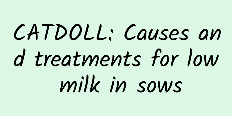 CATDOLL: Causes and treatments for low milk in sows