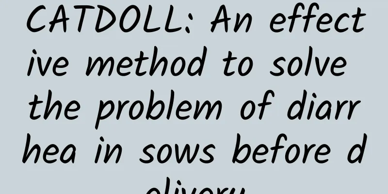 CATDOLL: An effective method to solve the problem of diarrhea in sows before delivery