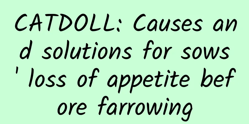 CATDOLL: Causes and solutions for sows' loss of appetite before farrowing