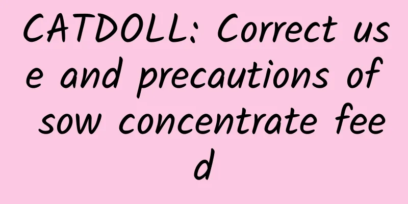 CATDOLL: Correct use and precautions of sow concentrate feed