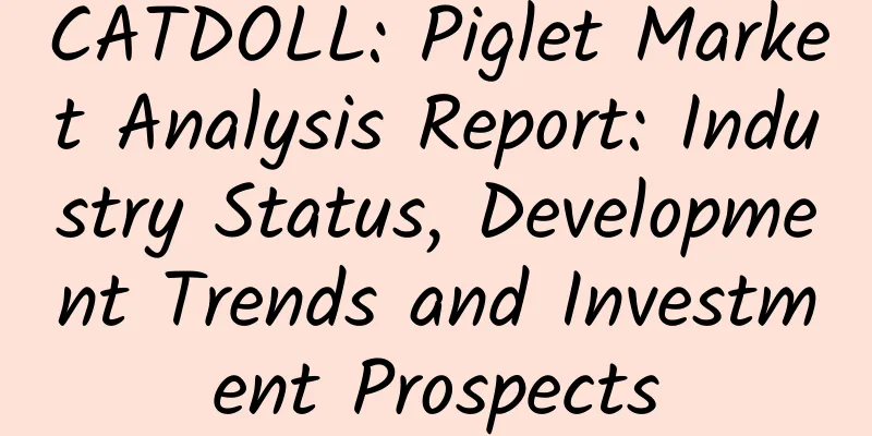 CATDOLL: Piglet Market Analysis Report: Industry Status, Development Trends and Investment Prospects