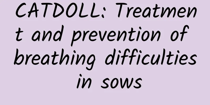 CATDOLL: Treatment and prevention of breathing difficulties in sows