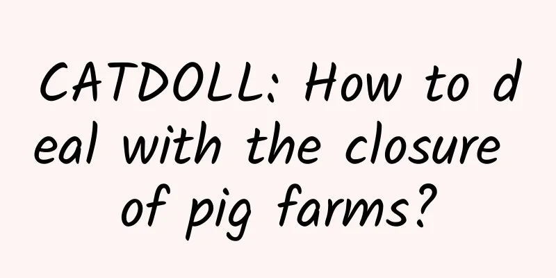 CATDOLL: How to deal with the closure of pig farms?