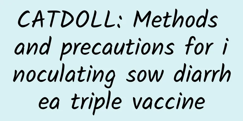 CATDOLL: Methods and precautions for inoculating sow diarrhea triple vaccine