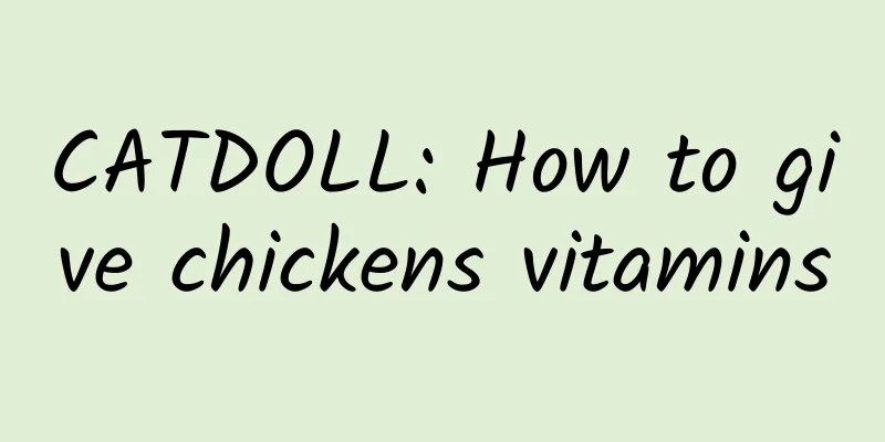 CATDOLL: How to give chickens vitamins